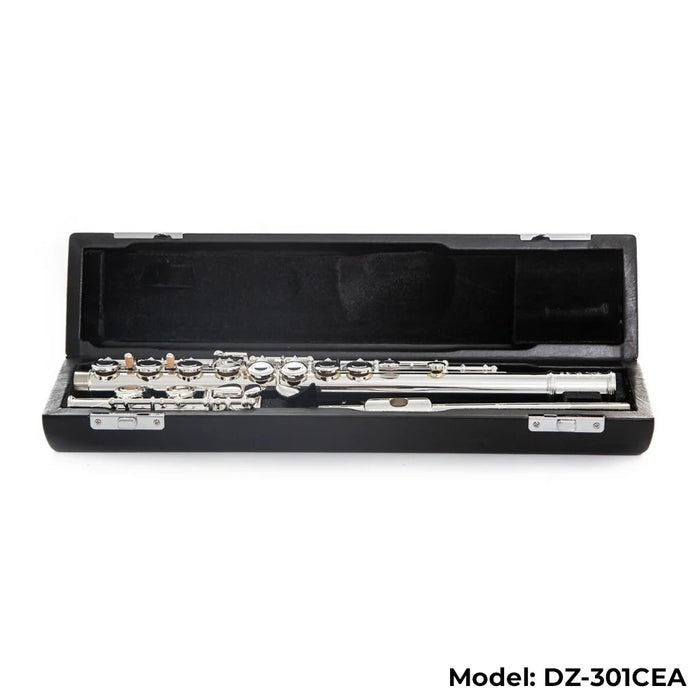 Di Zhao Boston DZ-301 Flute