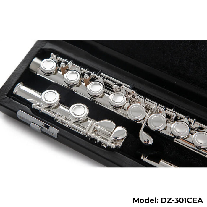 Di Zhao Boston DZ-301 Flute
