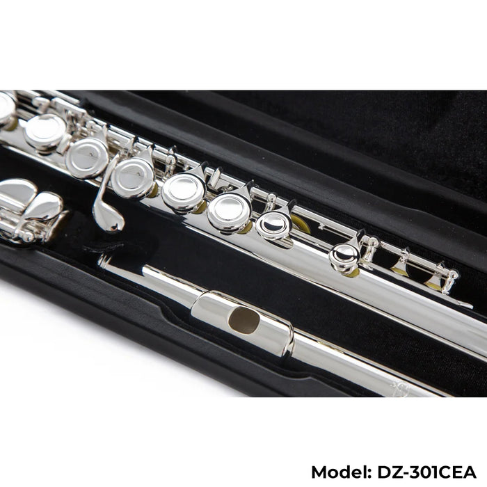 Di Zhao Boston DZ-301 Flute