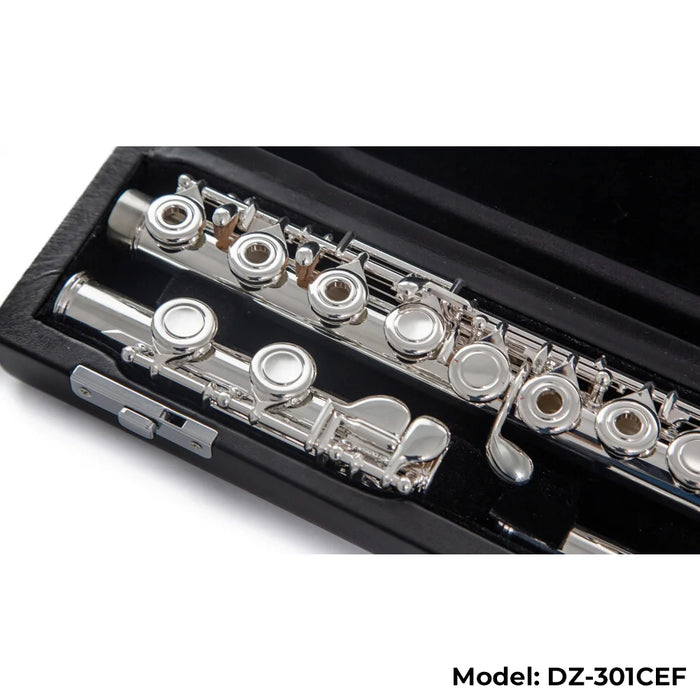 Di Zhao Boston DZ-301 Flute