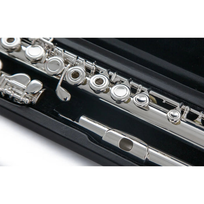 Di Zhao Boston DZ-301 Flute