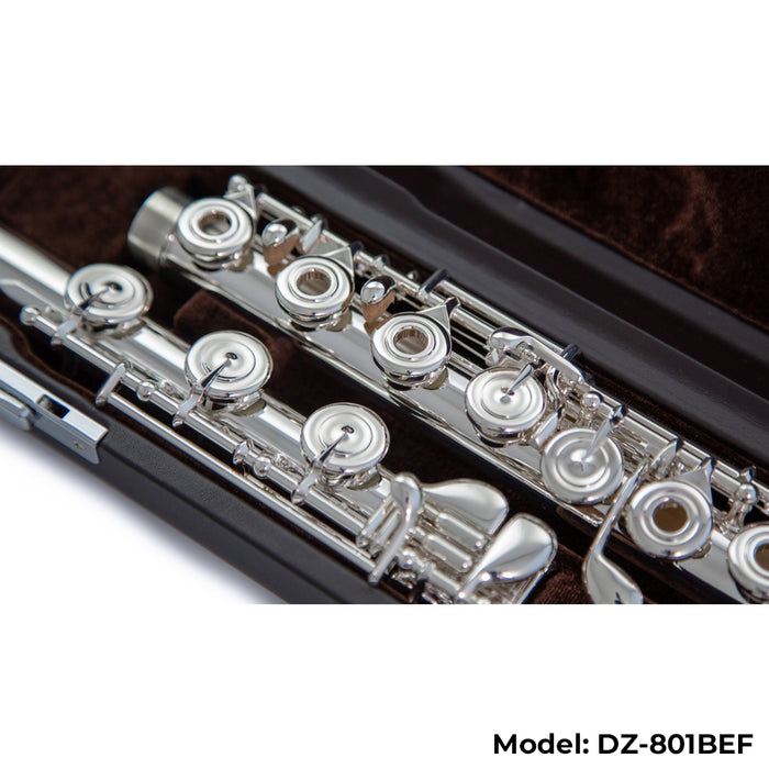 Di Zhao Boston DZ-801 Flute