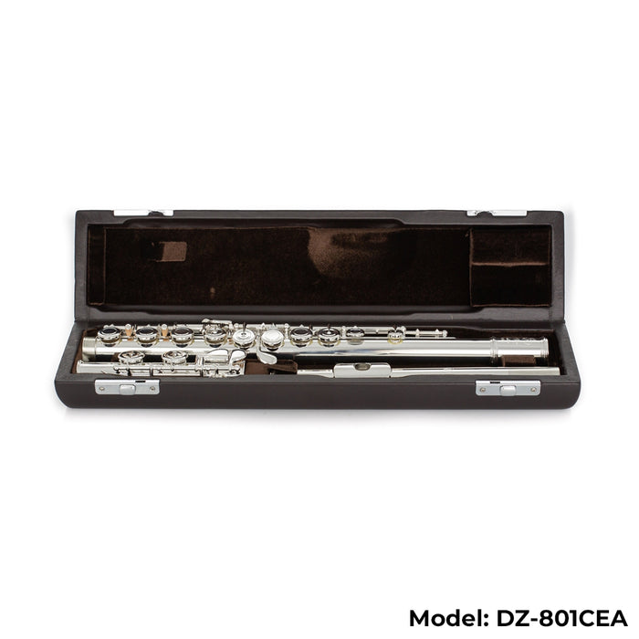 Di Zhao Boston DZ-801 Flute