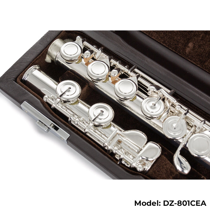 Di Zhao Boston DZ-801 Flute