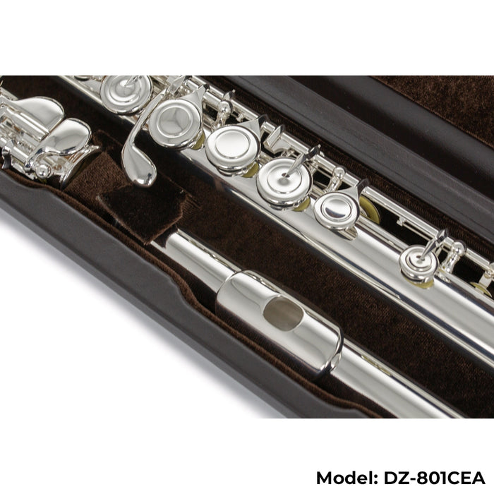Di Zhao Boston DZ-801 Flute