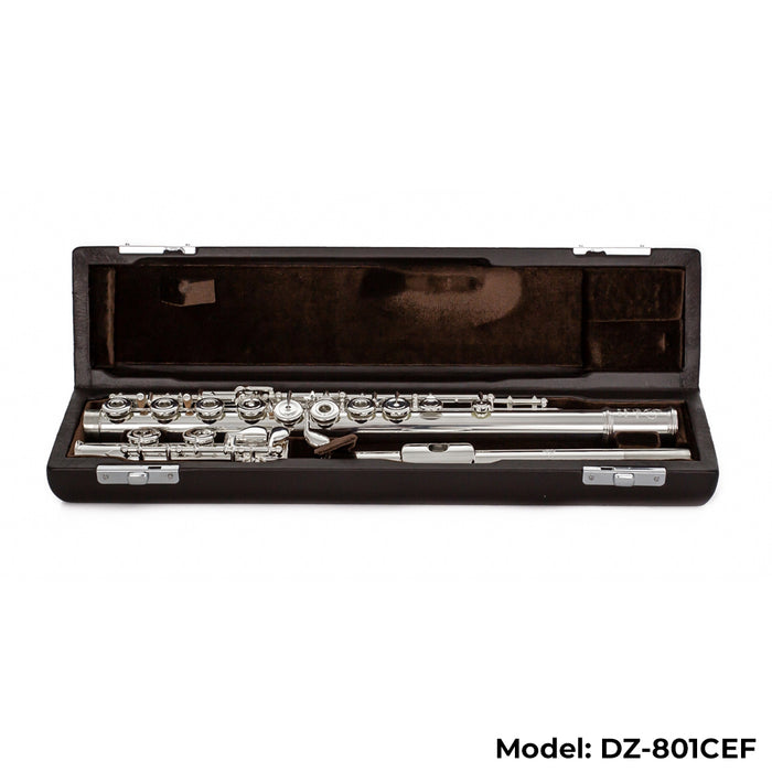 Di Zhao Boston DZ-801 Flute