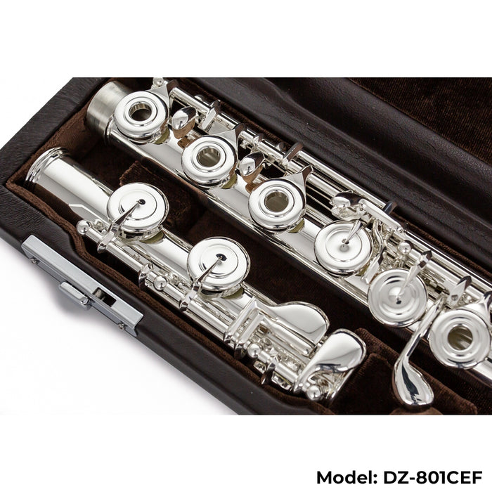 Di Zhao Boston DZ-801 Flute