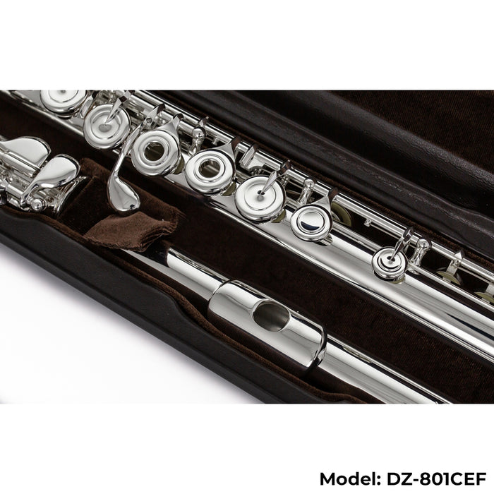 Di Zhao Boston DZ-801 Flute