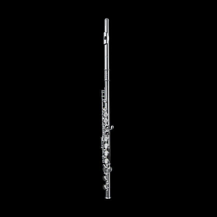Di Zhao Boston DZ-301 Flute