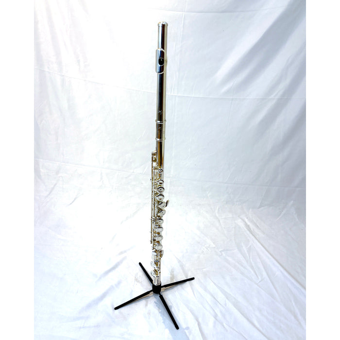 Trevor James Privilege Flute (2nd Hand)