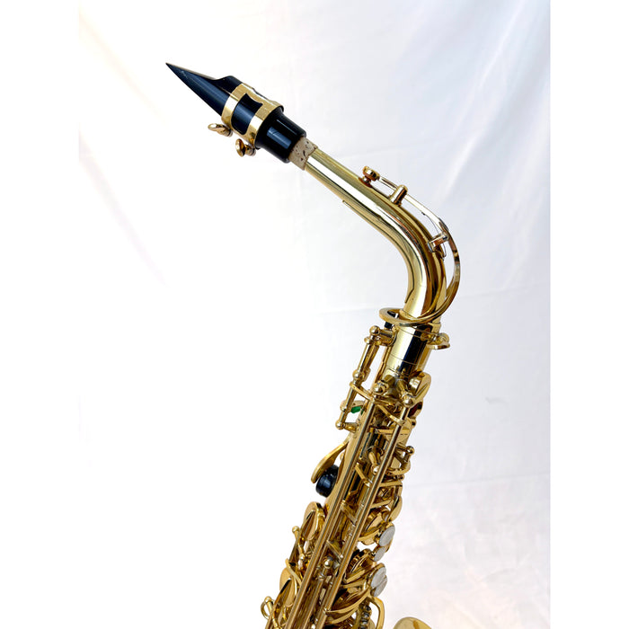 Trevor James Revolution Alto Saxophone (2nd Hand)